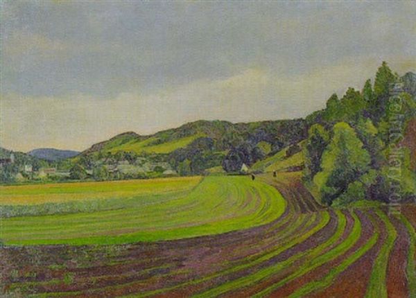 Landschaft - Frankischer Jura - view 1