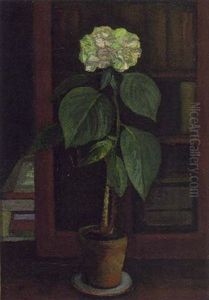 Hortensie by Adolf Jutz
