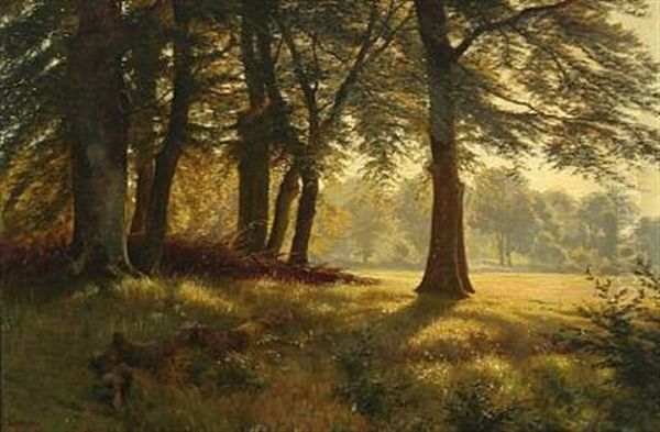 Sunny Forest Scape - view 1
