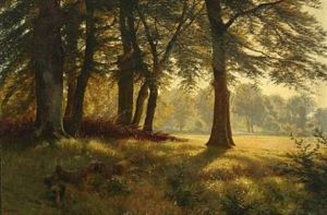 Sunny Forest Scape by Ludvig Kabell
