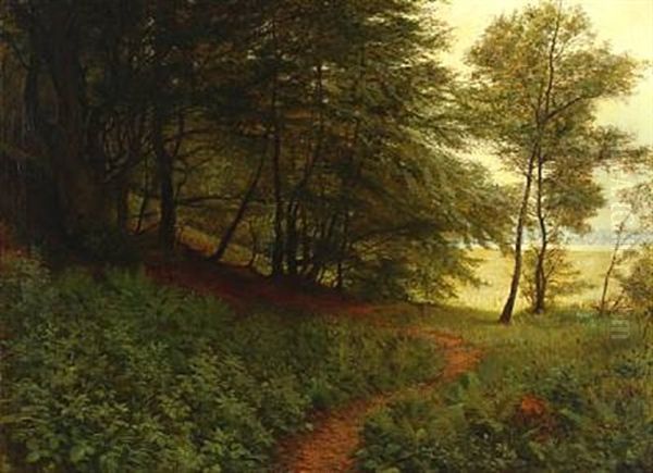 A Small Path In A Forest - view 1