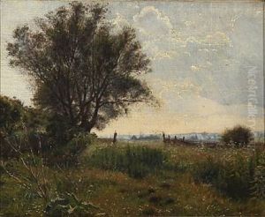 Summer Landscape Summer Landscape