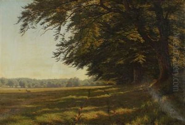 Forest With Deers In A Glade - view 1