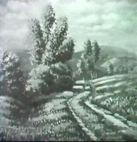 Sommerlandschaft - view 1