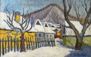 Houses In Baia Mare