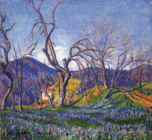 Spring In Baia Mare