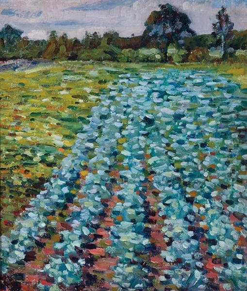 Open Field - view 1