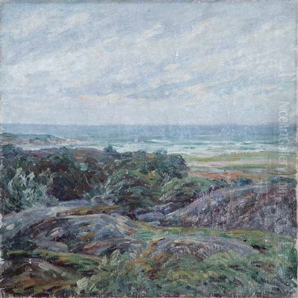 Coastal Scene - view 1
