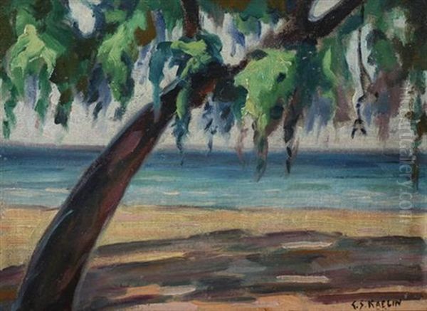 Shoreline - view 1