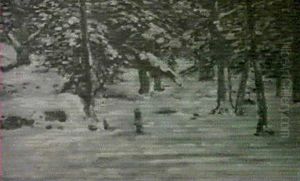 Woods In The Winter Woods In The Winter