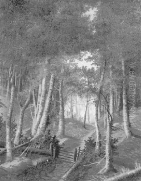 Waldpartie Auf Dem Seelisberg Im Kanton Uri - view 1
