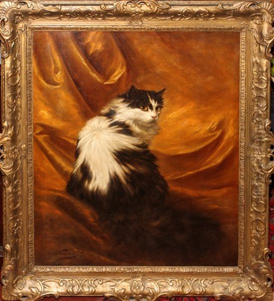 Seated Cat - view 1