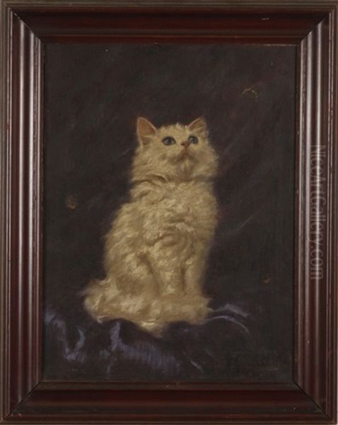 Portrait Of A Cat Watching An Insect - view 1