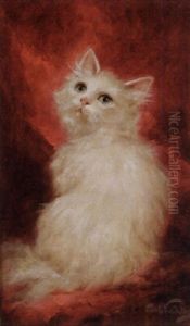 White Angora On A Red Drape