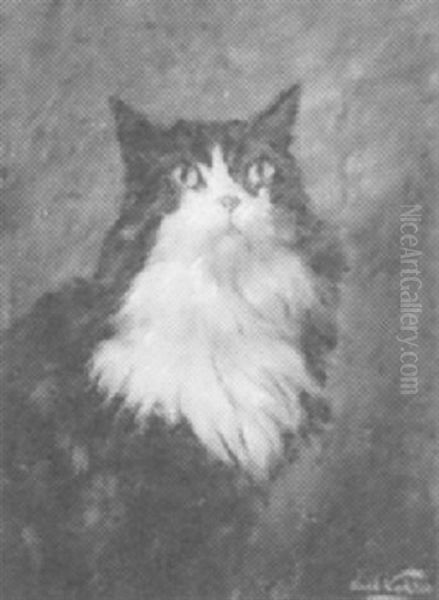 Portrait Of Black And White Cat - view 1