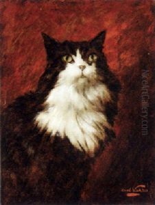 A Long Haired Cat