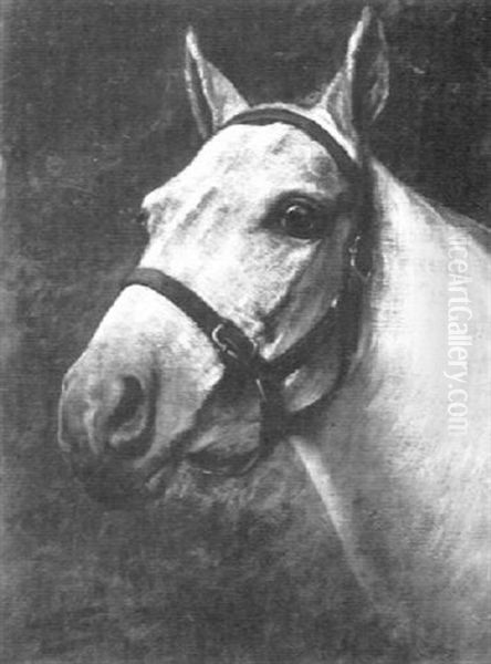 Equestrian Portrait - view 1