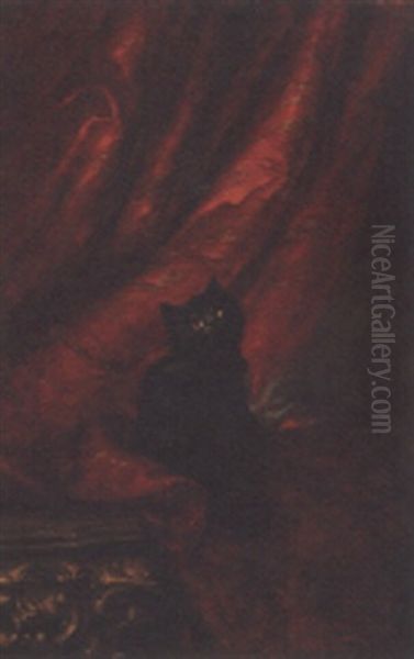 A Black Persian On A Partially Draped Table - view 1
