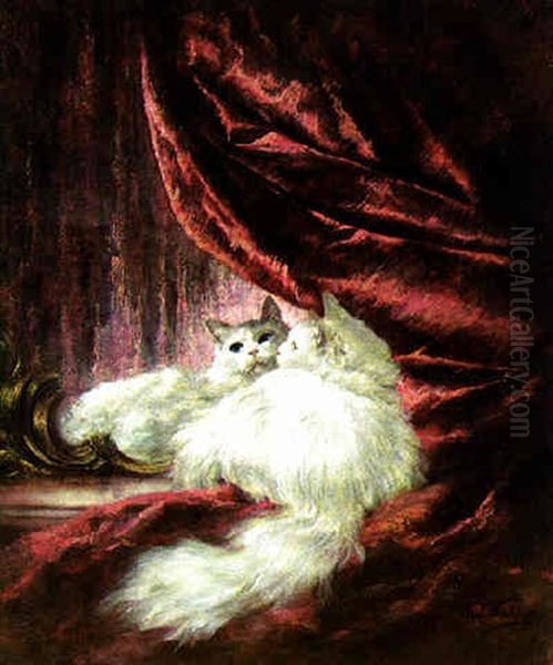 A White Cat Peering Into A Mirror - view 1