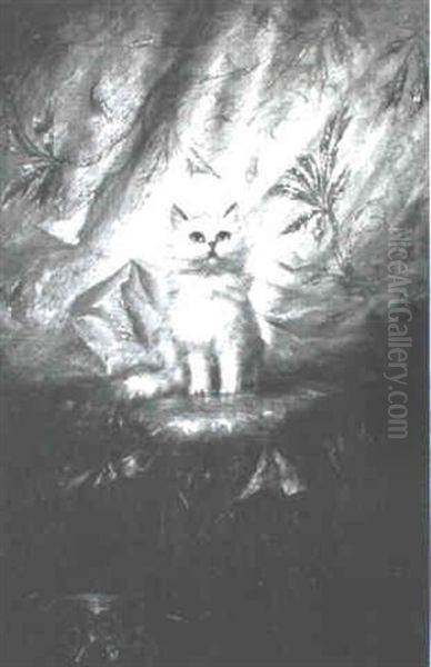 Persian Cat - view 1