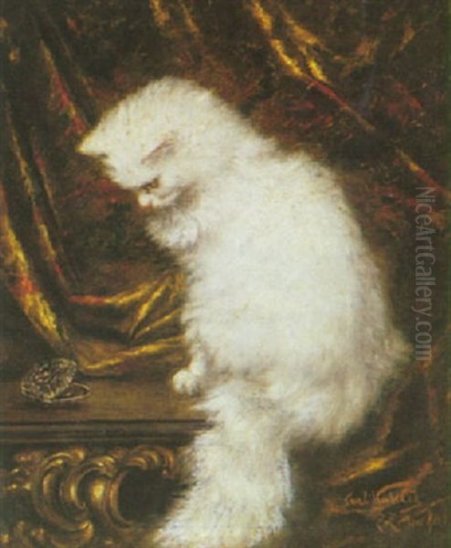 A Contemplative White Cat - view 1