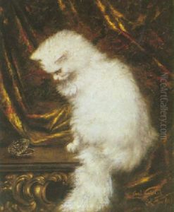 A Contemplative White Cat