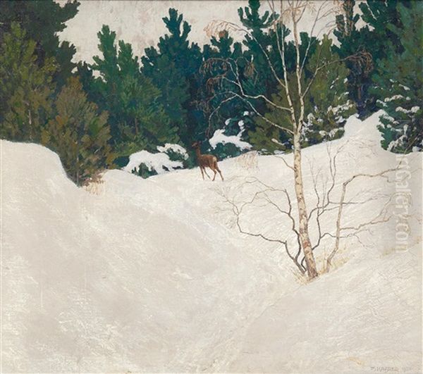 Reh Im Winterwald - view 1