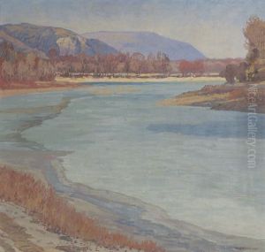 Donauarm In Februarsonne
