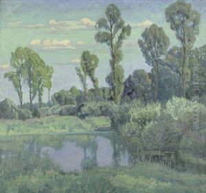 Abendsonne In Den Donau-auen
