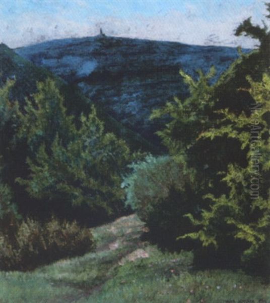 Der Hermannskogel Von Weidlingertal Aus - view 1