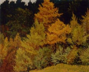 Herbst Im Schiesstattgraben