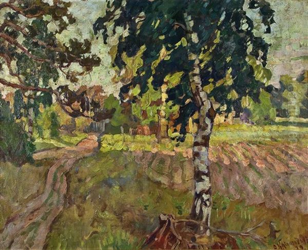 Sonnendurchflutete Landschaft - view 1