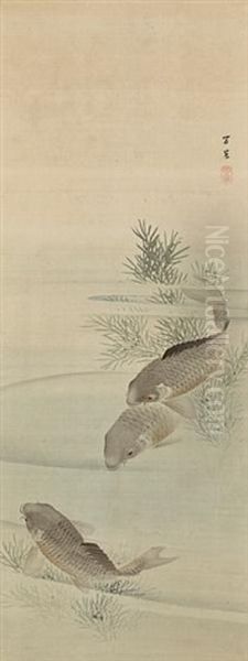 Carp (pair) - view 1