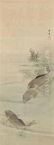 Carp (pair)