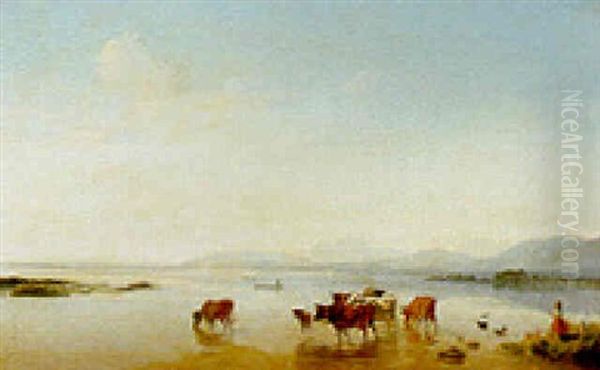 Cattle Watering At A Lakeside - view 1
