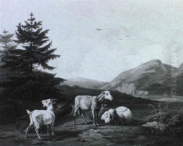 Schafe Und Ziegen Im Gebirgstal - view 1