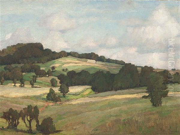 Wide Landscape - view 1