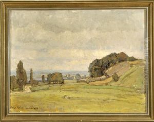 Weite Landschaft Mit Blick Auf Einen See Und Regen Verhangenen Wolken