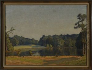 Idyllischer Waldsee Im Abendlicht