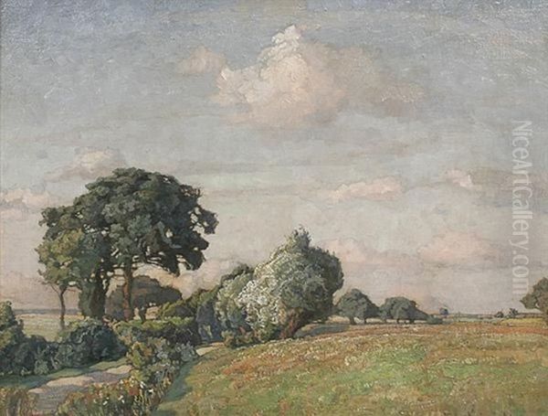 Baumbestandene Sommerlandschaft - view 1