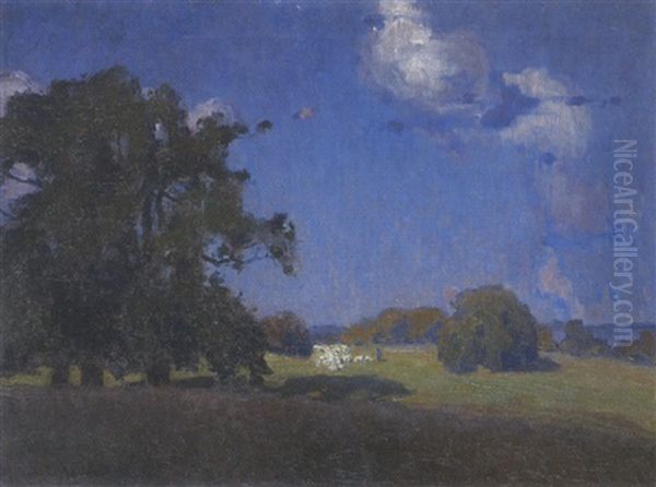 Wiesenlandschaft Mit Schafherde - view 1