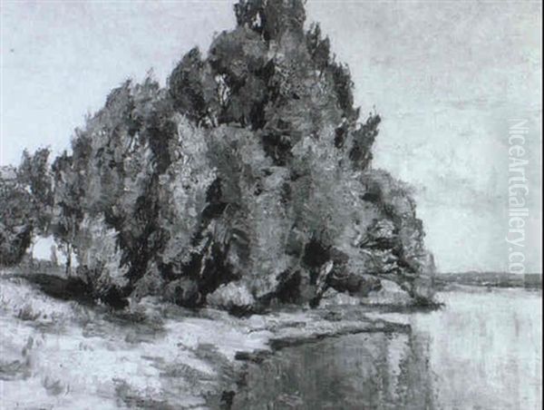 Landschaftsausschnitt Mit Baumgruppe Am Wasser... - view 1
