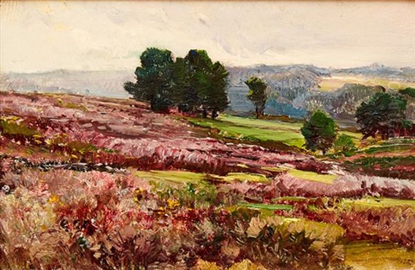 Lila Bluhende Felder - view 1