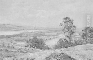 Landschaft Landschaft