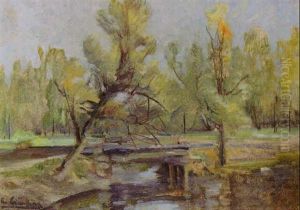 Aulandschaft