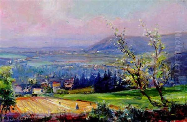 Blick Auf Baden Nach Suden - view 1