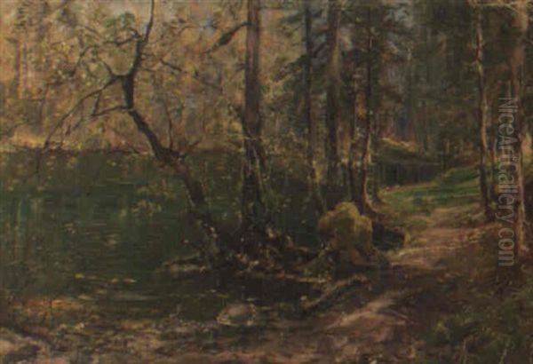 Teich Im Laubwald - view 1