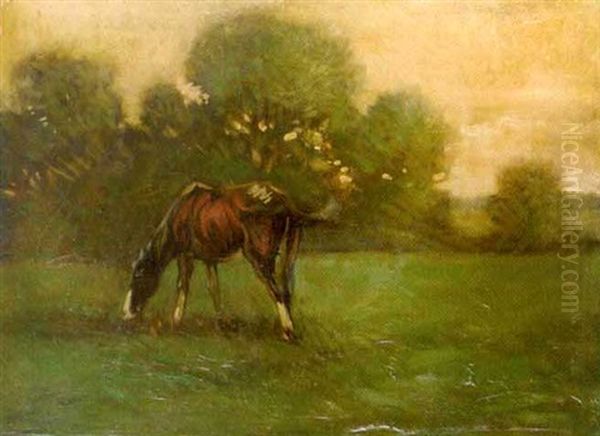 Pferd (fuchs) Auf Wiese - view 1