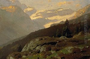 Sonnige Hochgebirgslandschaft Mit Gletscherhorizont
