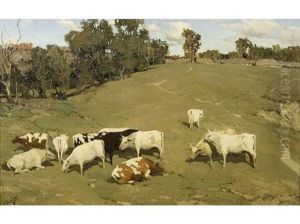 Vaches Dans Un Pre Vaches Dans Un Pre